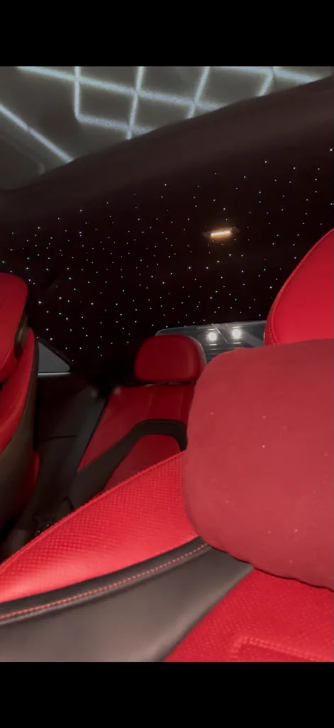 Starlight headliner above red leather seats